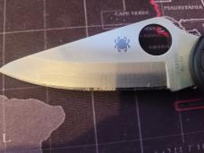 Spyderco Delica(Black, VG10)