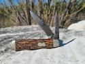 Crucible Knife Co - New York - 1926-1929 #30 Pattern Jack Knife - Jigged Bone - Rare Maker