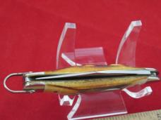 Case XX 1978 Single Blade Stag Peanut with Blade Pattern # 5120R SSP