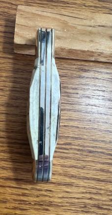 PARKER IMAI K77 "THE TRAPPER" STAG HANDLE POCKET KNIFE 