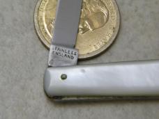 Venture T. Glossip Sheffield England Pearl Fruit Folding Knife 