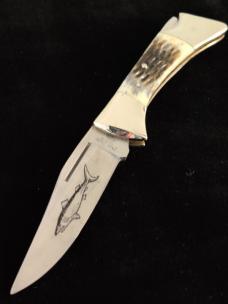 BARRACUDA by FROST 