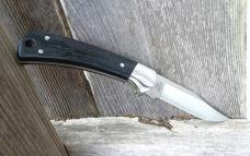 Buck 152 Fixed Ranger - April 2024 BOTM- Genuine Ebony Handle S35VN Blade - New