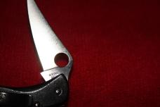 Spyderco Mini-Dyad Knife