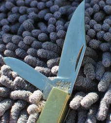 Ka-Bar Cole national 2 Blade Barlow Wood And Brass Never Used Mirror Polished Factory EdgeBox Papers