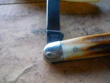 Case 5279 SSP Stag Red Scroll Pen Knife 1978