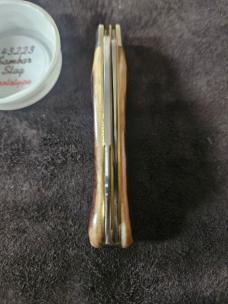 Gec Sambar Stag 14