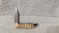 Case XX Curly Maple Pocket Hunter