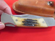 Schrade Single Blade Lockback Stag Handle 
