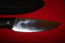 Spyderco Serrata Ackerman Design Fixed Blade Knife w kydex sheath