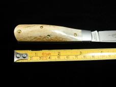 Beaver Falls Cutlery Genuine Stag Jack Knife 2023 from Cooper Cutlery USA Made STAG