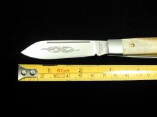 Beaver Falls Cutlery Genuine Stag Jack Knife 2023 from Cooper Cutlery USA Made STAG