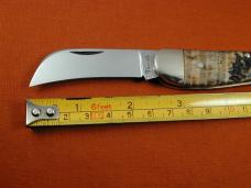 Titusville Cutlery Lightning Wood Rooster Comb Farmer Knife Rare 1 of 15 COA USA Made 2025
