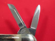 German Eye 1996 Stag Whittler NKCA 
