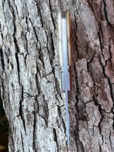 VINCENZO BALISTRERI CUSTOM STAG BARLOW WITH COPPER ACCENTS KNIFE