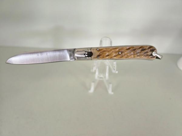 BEGON  247 STAMPED