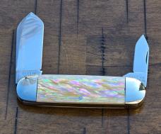 Case Classic 2050 Sunfish 1995 Knife – Exotic Awabi Shell – Salesman Sample & Tin
