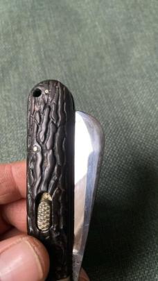 Flylock hawkbill