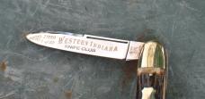 Parker Bulldog 1999 Ango Saxon Whittler Stag 5 1/4" Closed Mint Western indiana Club 1 Of 22 Made