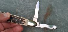 Parker Bulldog 1999 Ango Saxon Whittler Stag 5 1/4" Closed Mint Western indiana Club 1 Of 22 Made