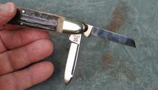 Parker Bulldog 1999 Ango Saxon Whittler Stag 5 1/4" Closed Mint Western indiana Club 1 Of 22 Made