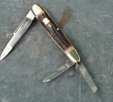 Parker Bulldog 1999 Ango Saxon Whittler Stag 5 1/4" Closed Mint Western indiana Club 1 Of 22 Made