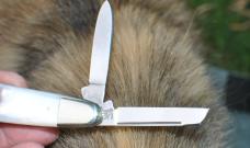 Parker Bulldog 1998 Pearl Anglo Saxon Whittler % 1/4" Factory Mint Master Blade Etched Prototype 