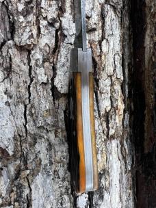 SACRED BEAR "TORY UTT" CUSTOM JIGGED BONE DAMASCUS SWAY BACK