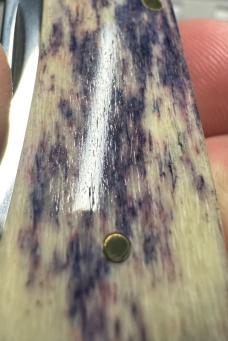 1998 Case XX Purple Appaloosa Trapper w/XX Shield & Original Box. Beautiful Purple & Cream Mix.Mint!