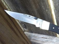 Buck 110 Folding Hunter Knife - Build Out - Black G-10 S45VN Blade - NEW