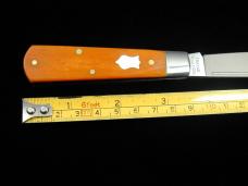 Dollar Knife Co. Smooth Orange Camel Bone with White Shield Jack Knife by Cooper Cutlery USA OSCB-WS