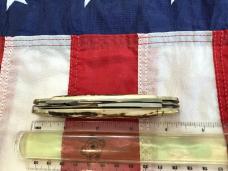 Bulldog Brand "Cattle King" Large Stockman Knife w/ Great Stag Handles -NOS 