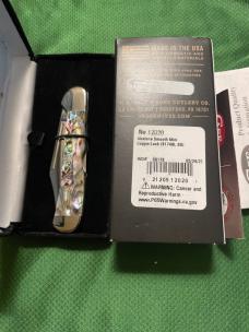2023 CASE 81749 SS ABALONE MINI COPPERLOCK 