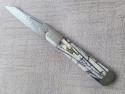 K'roo DragonFly Mammoth Ivory 4" clsd,Damasteel shield,blade,spring,bolsters,coa/slip