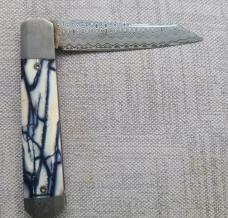 K'roo DragonFly Mammoth Ivory 4" clsd,Damasteel shield,blade,spring,bolsters,coa/slip