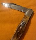 1994 Schatt & Morgan by Queen Swell Center Lockback Hunter w/Amazing Stag Handles. 1 of 600. Mint!