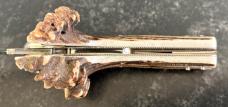 Vintage Lepre Presentation Folding Knife, Beautiful Crown Stag Handle, Maniago Italy