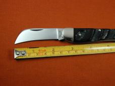 Titusville Cutlery Kuda Horn Rooster Comb Farmer Knife Super Rare 1 of 11 COA USA Made 2025