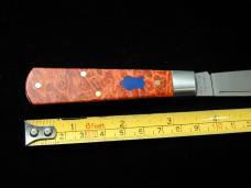 Dollar Knife Co. Red Burl Maple Wood with Blue Shield Jack Knife from Cooper Cutlery USA RBM BS