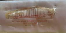 New in Display 1981 Case Smooth Rose Congress and Stockman
