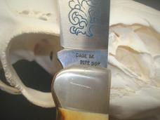 Case XX 5172 SSP Scroll 3 Dot (1977) Stag Clasp 5 1/2"