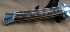 15 Inch Stag by Frank Beltrame - EXCEPTIONAL!
