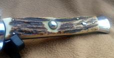 15 Inch Stag by Frank Beltrame - EXCEPTIONAL!