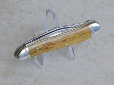Case Peanut Folding Knife Antique Bone 58201 - New