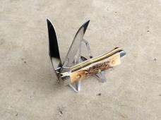 Case Tiny Trapper Folding Pocket Knife Genuine Stag Handle - New
