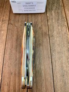 Winchester by Blue Grass Cutlery Stockman Stag 2022