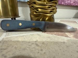 Hand Made Carbon Steel Full Tang Fixed Blade Shop Knife Made from a File