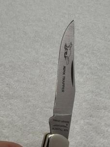 Parker Edwards Vintage 1 Blade Folder Pocket Knife Made In Alabama USA (#38)