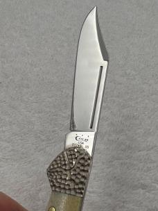 Case XX Stag 1 Blade Mini Copperlock Pattern 51749LSS Engraved Bolsters USA (#53)