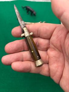 Rare but Sharpened 12cm Horn and 18cm Coricama Shell Wrap